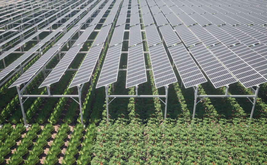 Agricultura, ganader&iacute;a y pesca complementarias con energ&iacute;a solar