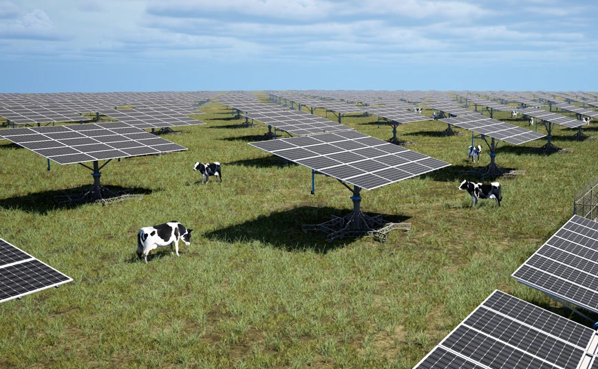 Agricultura, ganader&iacute;a y pesca complementarias con energ&iacute;a solar